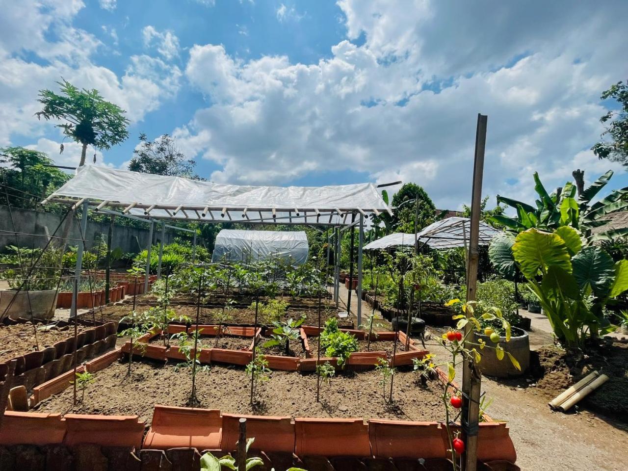 Anggrek Putih Lombok Cooking Class And Homestay Senggigi Exterior foto