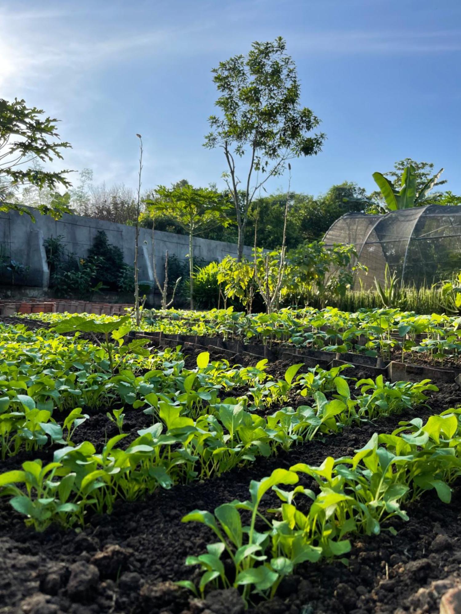 Anggrek Putih Lombok Cooking Class And Homestay Senggigi Exterior foto