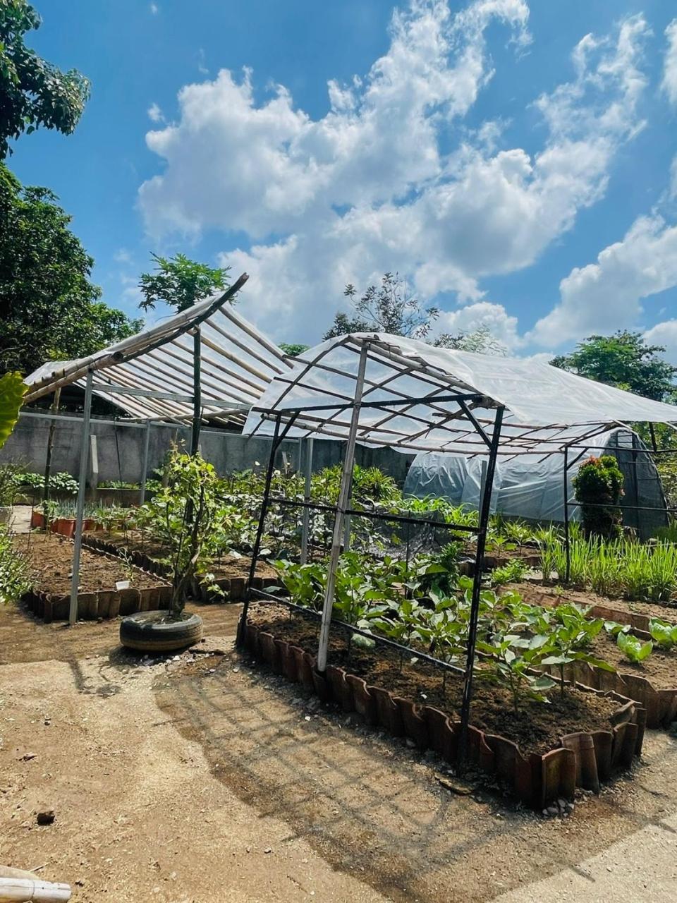 Anggrek Putih Lombok Cooking Class And Homestay Senggigi Exterior foto